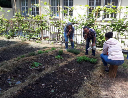 Urban Gardening Peace Project Newsletter